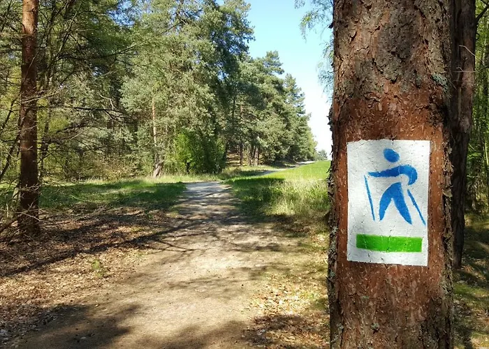 דירה Morski גדנסק